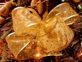 ף�����쿪��