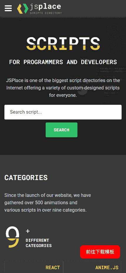 开发者技术分享与开发网站模板