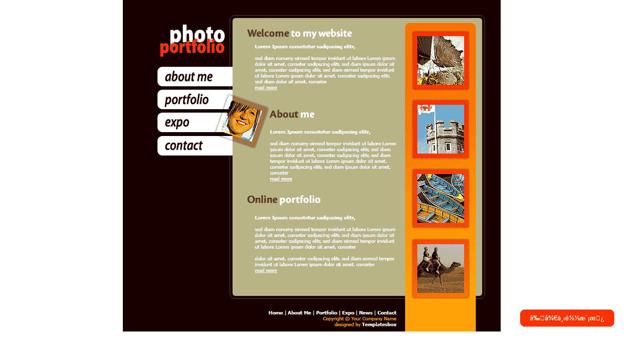 欧美个人相册网站模板免费下载 - 鹿快