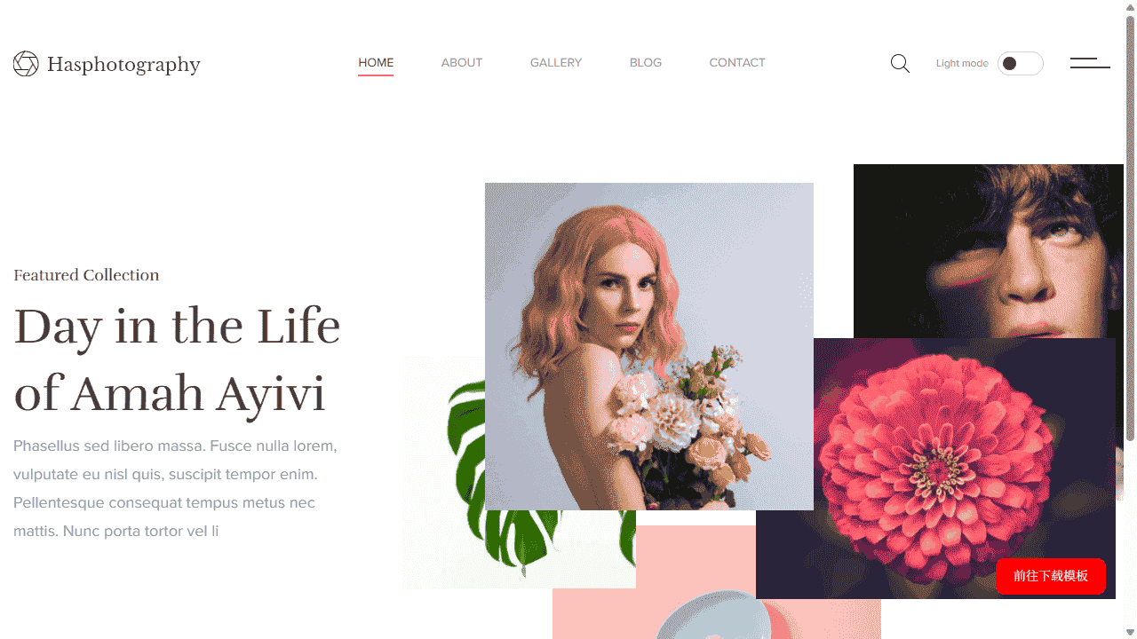 精选图库作品展示网站模板免费下载免费下载 - 鹿快