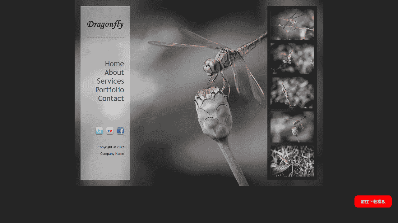 蜻蜓图片展示信息网站模板免费下载 - 鹿快