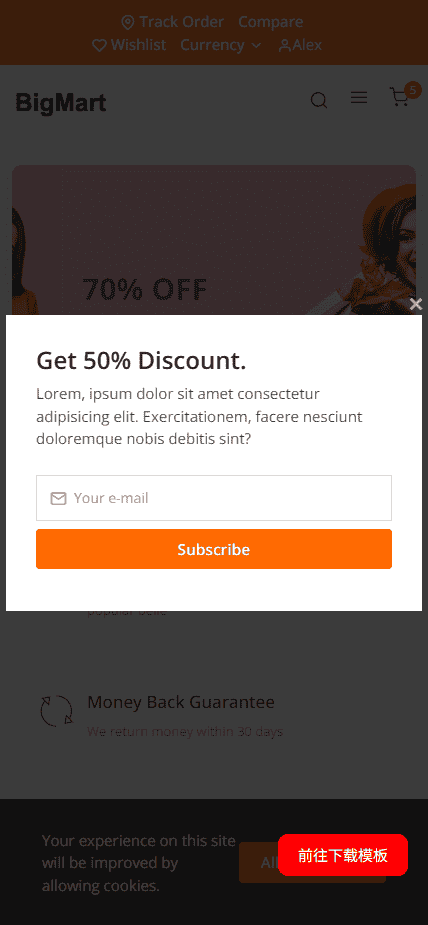 橙色简约综合电商网站模板免费下载