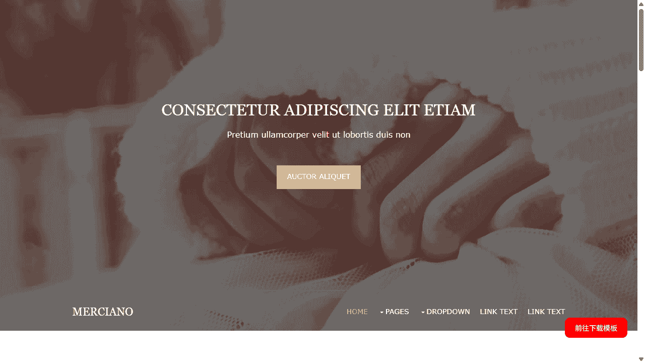 创意文化展示图集网站模板免费下载 - 鹿快