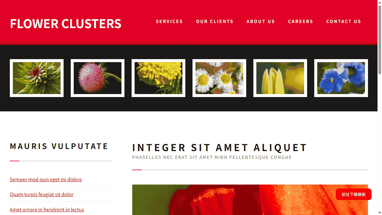 花簇锦攒图册网站模板免费下载 - 鹿快