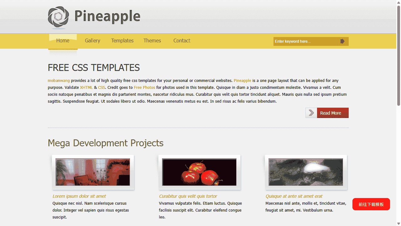 菠萝灰色图片展示网站模板免费下载 - 鹿快