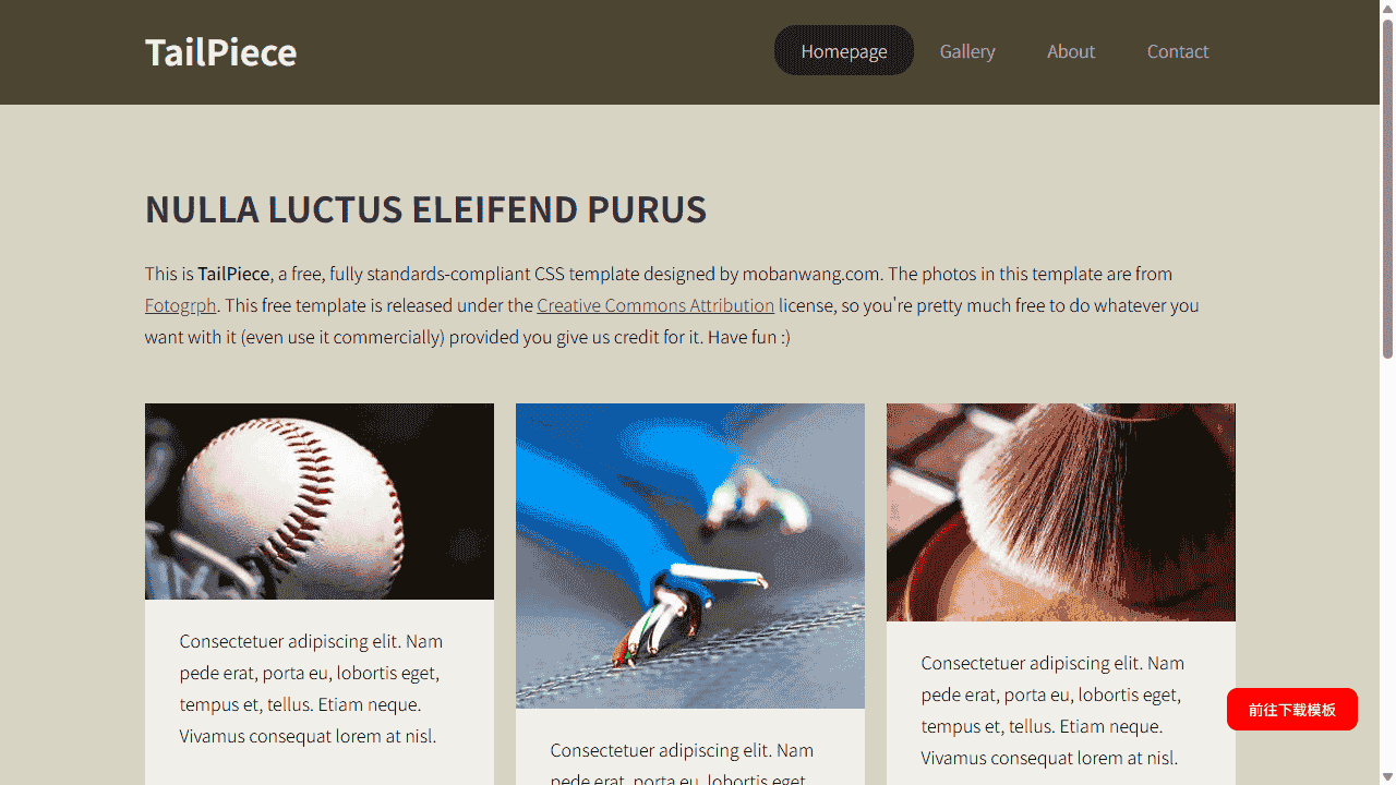 深咖图片信息展示网站模板免费下载 - 鹿快