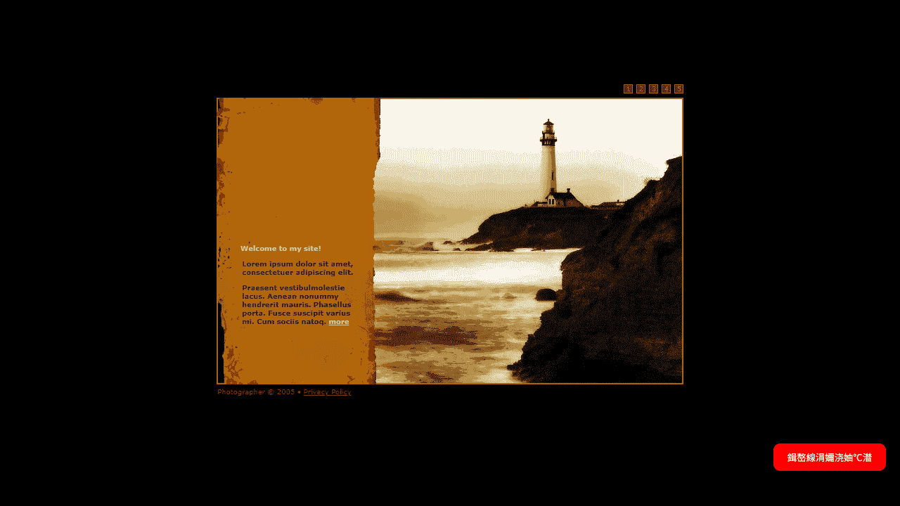 复古相册网站模板免费下载 - 鹿快