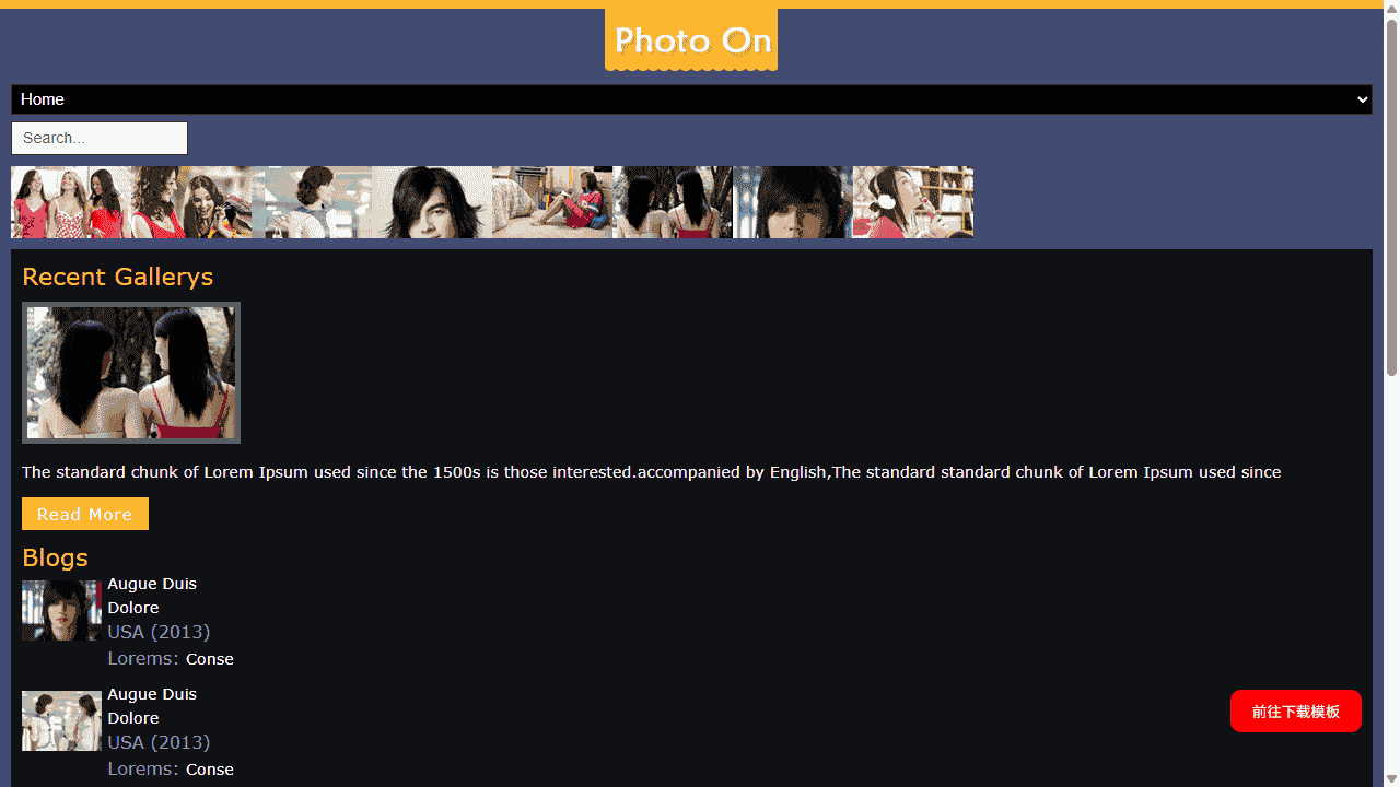 照片艺术日志网站模板免费下载 - 鹿快