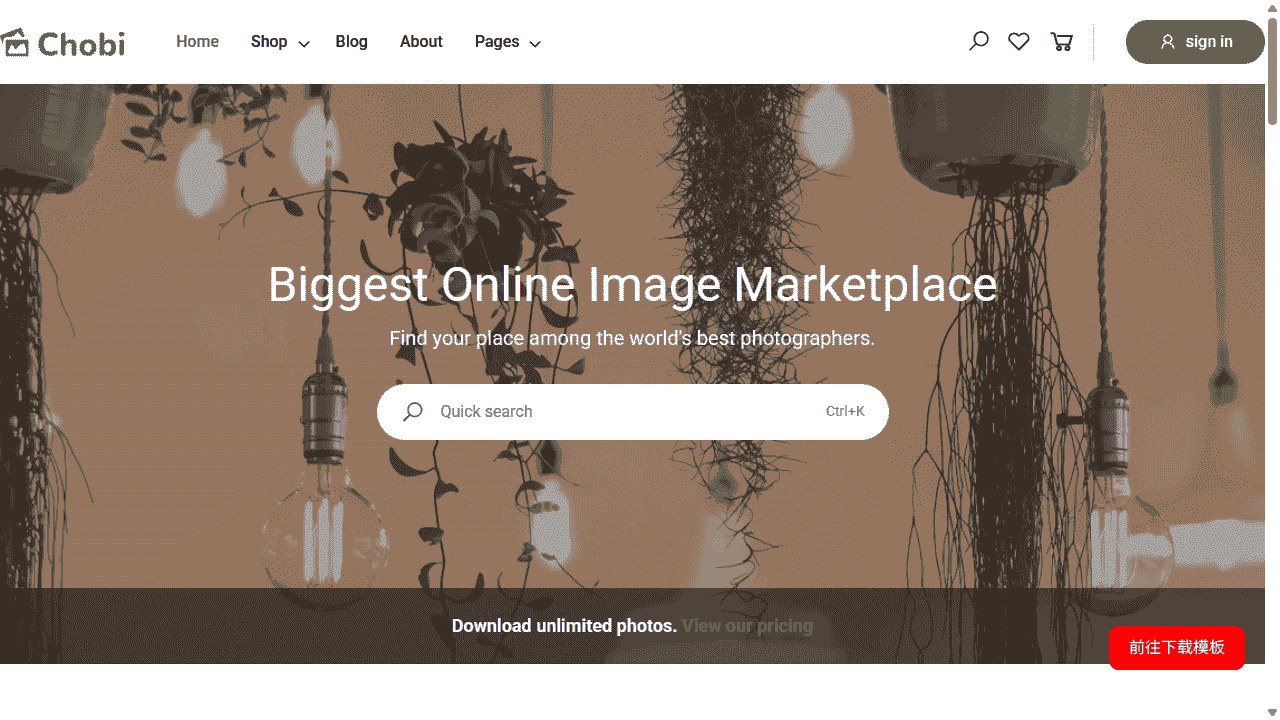 在线摄影图库素材交易平台网站模板免费下载免费下载 - 鹿快