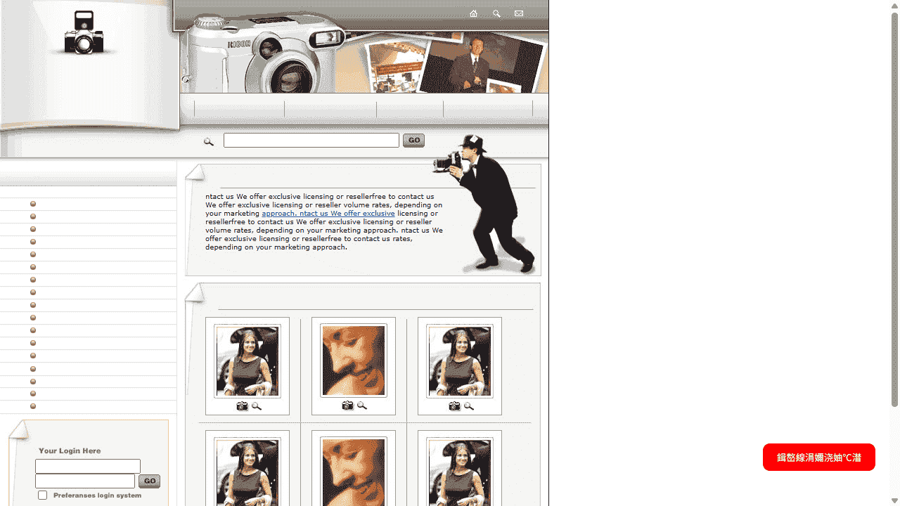 照片相册存储网站模板免费下载免费下载 - 鹿快