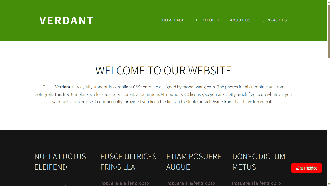 黑域嫩绿信息图片网站模板免费下载 - 鹿快