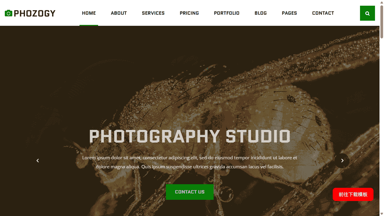 摄影作品图库响应式网站模板免费下载 - 鹿快