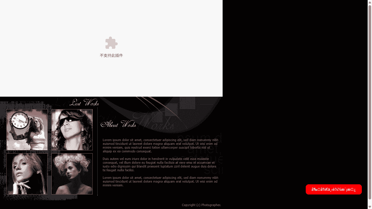 微妙的艺术摄影网站模板免费下载 - 鹿快