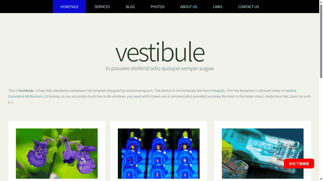 图文展示信息网站模板免费下载 - 鹿快