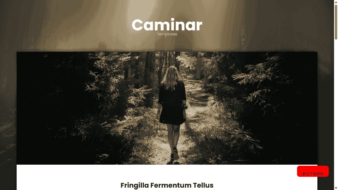 照片展示动态网站模板免费下载 - 鹿快