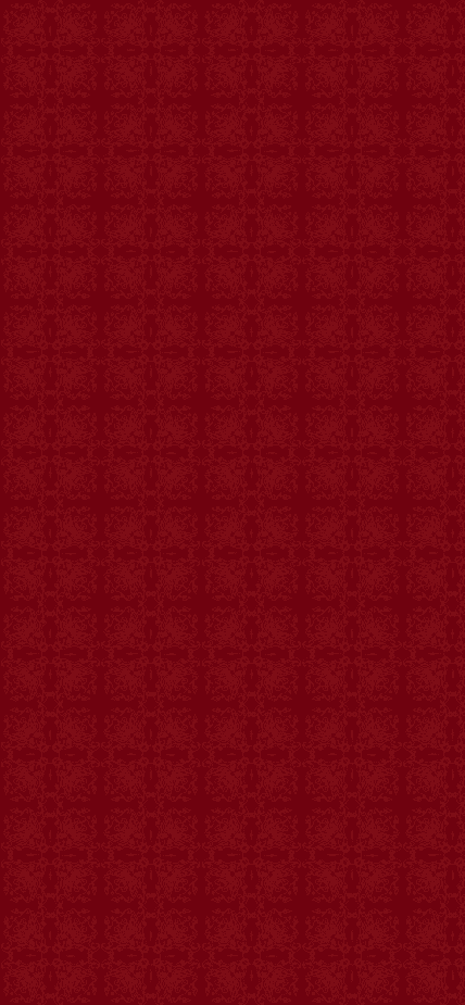 少林武术FLASH相册模板