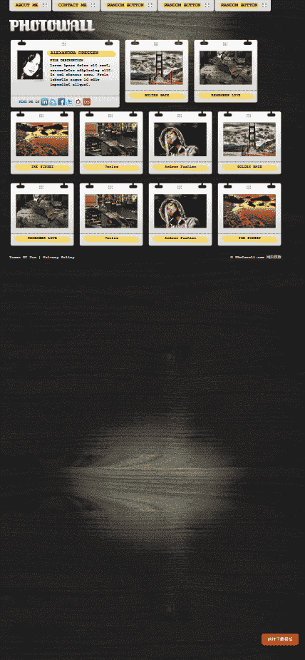 照片图片展示板块网站模板免费下载