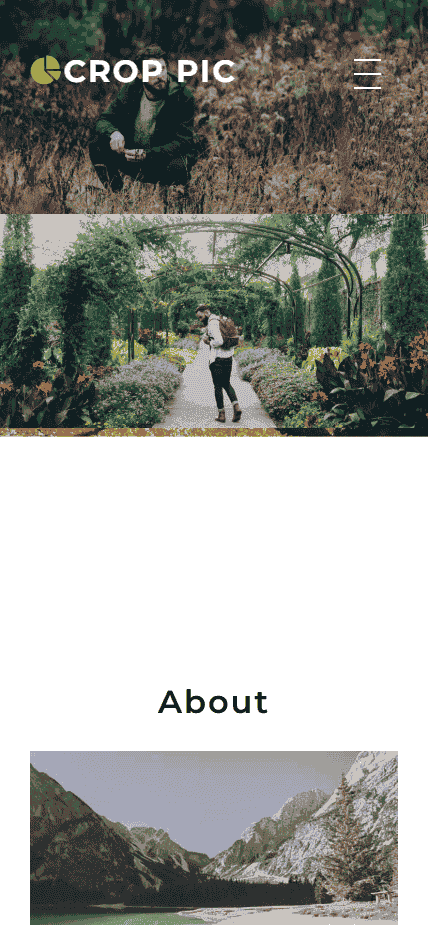 摄影相片展示介绍响应式网站模板免费下载