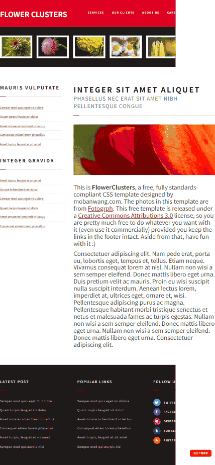 花簇锦攒图册网站模板免费下载