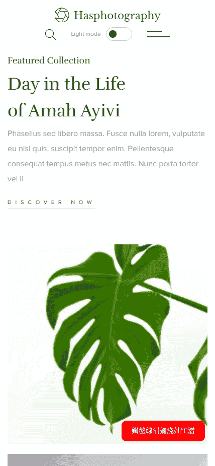 精选图库作品展示网站模板免费下载免费下载