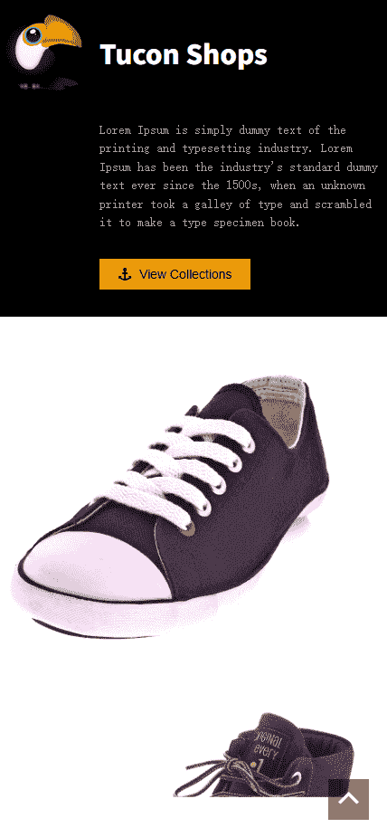 时尚潮鞋展示响应式网站模板免费下载