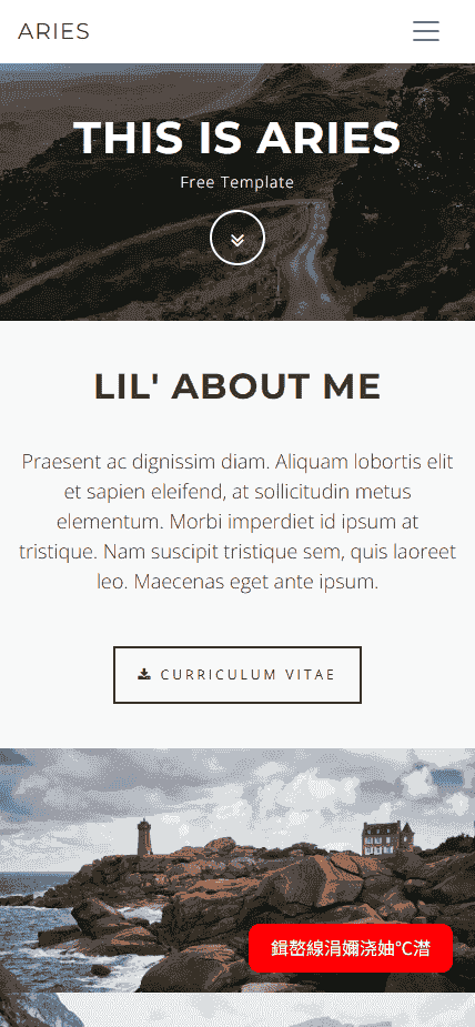 图文作品展示网站模板免费下载