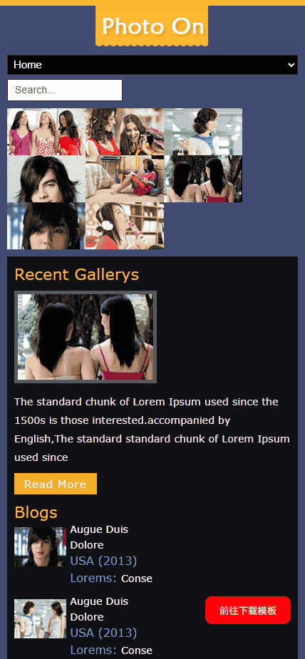 照片艺术日志网站模板免费下载