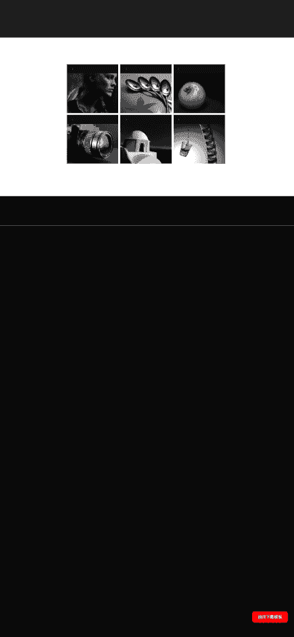 捕捉瞬间摄影作品网站模板免费下载