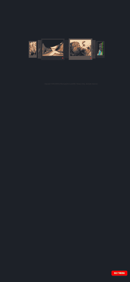 摄影师作品网站模板免费下载