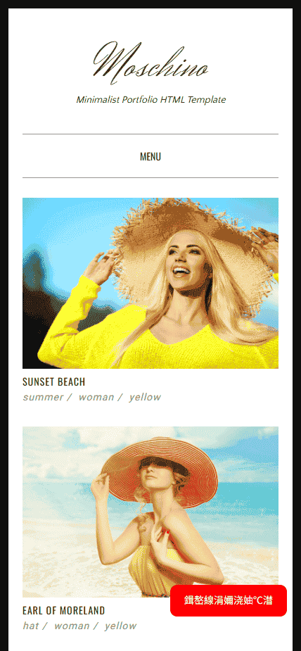 综合图文网店博客网站模板免费下载