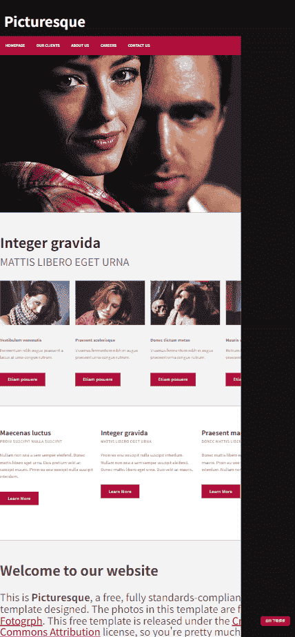 别致艺术人物信息网站模板免费下载