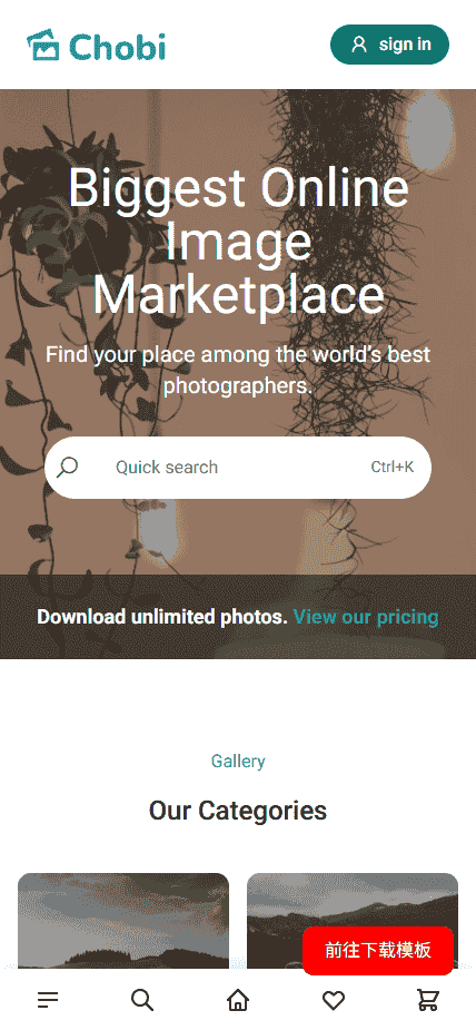 在线摄影图库素材交易平台网站模板免费下载免费下载