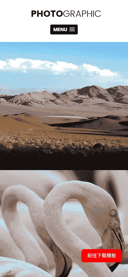 摄影师作品介绍展示响应式网站模板免费下载