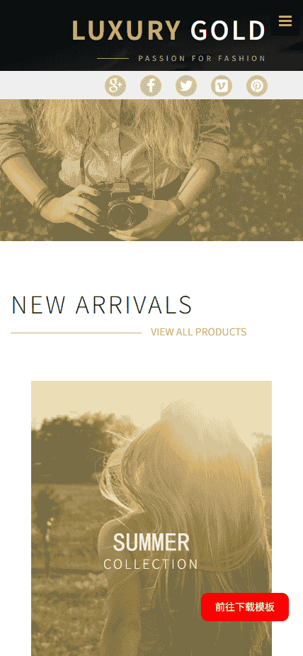 奢华时尚设计展示响应式网站模板免费下载