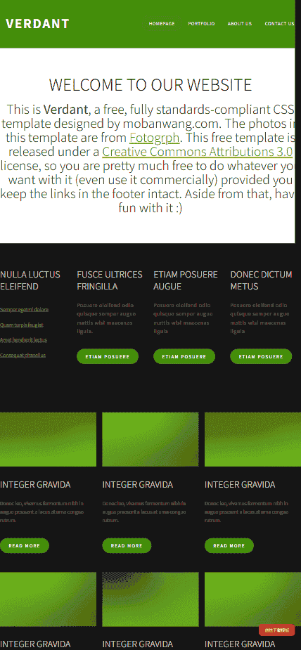 黑域嫩绿信息图片网站模板免费下载