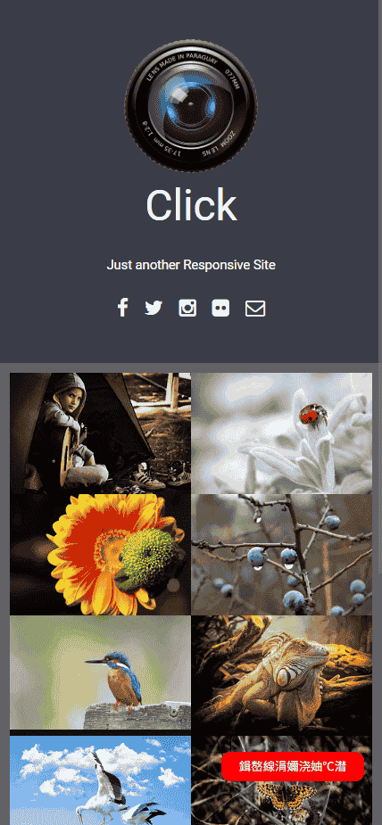 左右图片幻灯片展示网站模板免费下载