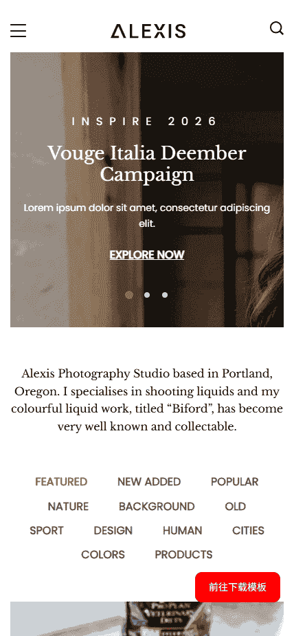 现代摄影艺术作品展示网站模板免费下载免费下载