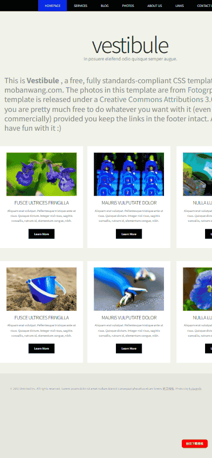 图文展示信息网站模板免费下载