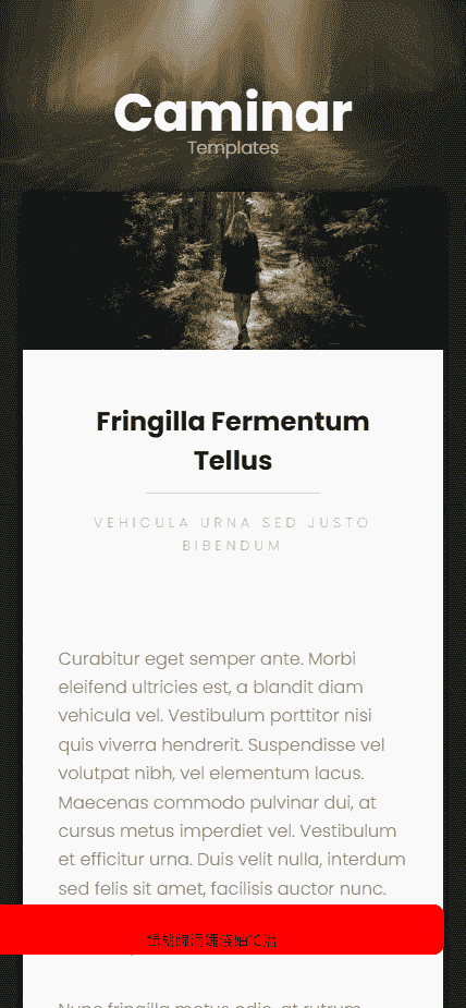 照片展示动态网站模板免费下载