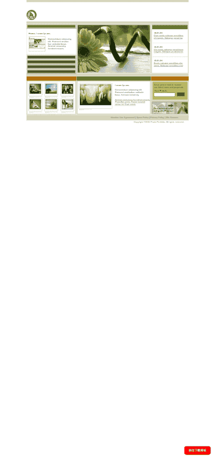 图片作品网站模板免费下载