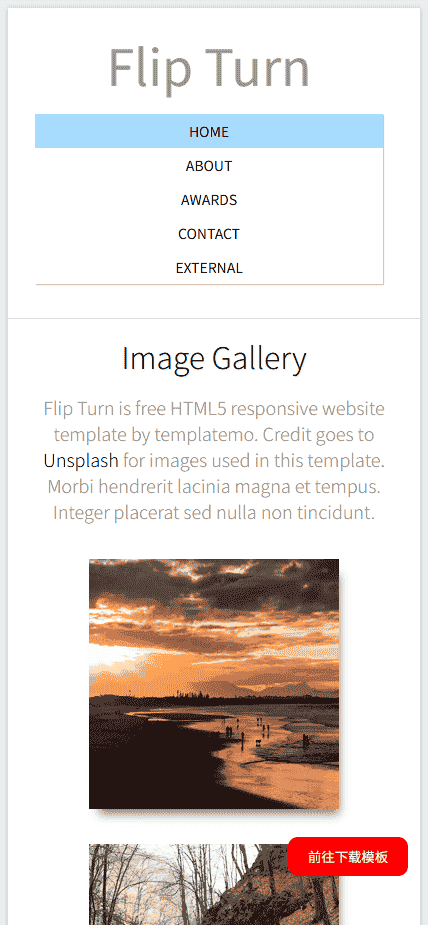 简洁摄影展示响应式网站模板免费下载