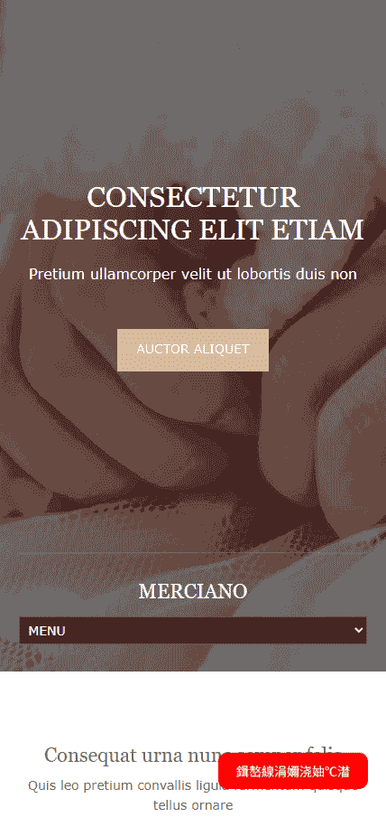 创意文化展示图集网站模板免费下载